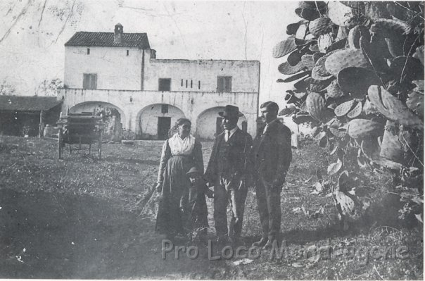 Casa di campagna - Masseria Cerqua.jpg